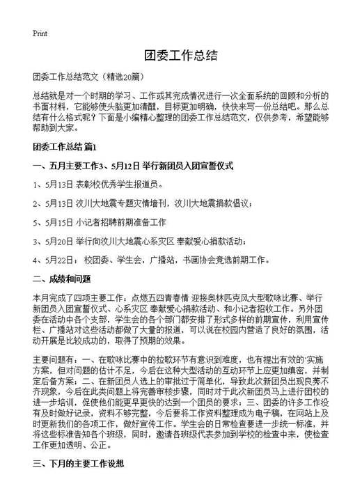 团委工作总结
