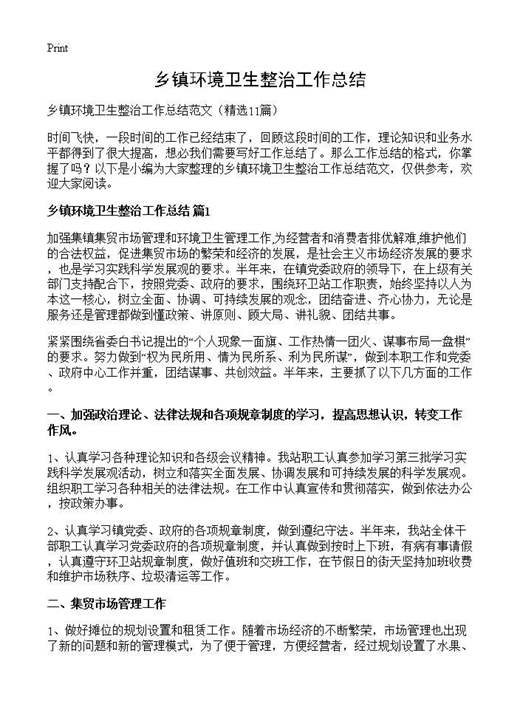 乡镇环境卫生整治工作总结