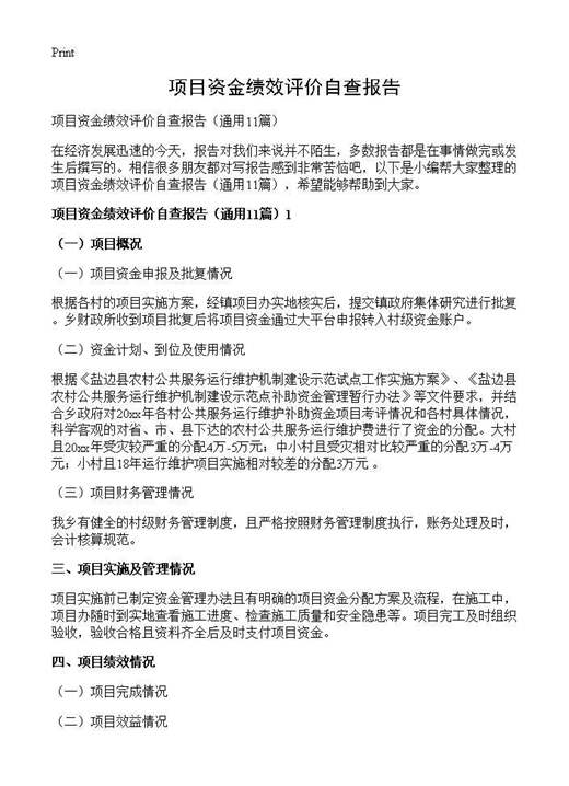 项目资金绩效评价自查报告