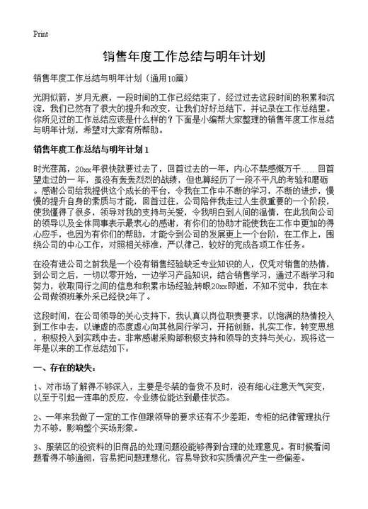 销售年度工作总结与明年计划