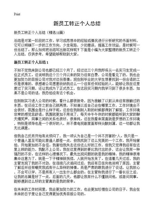 新员工转正个人总结