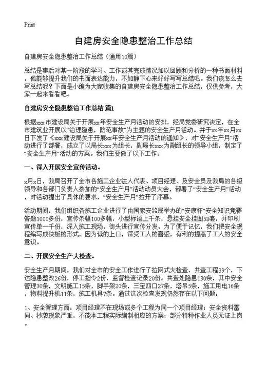 自建房安全隐患整治工作总结