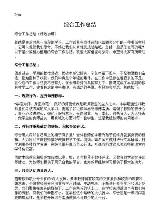 综合工作总结