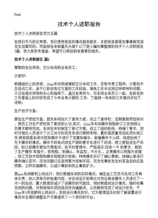 技术个人述职报告