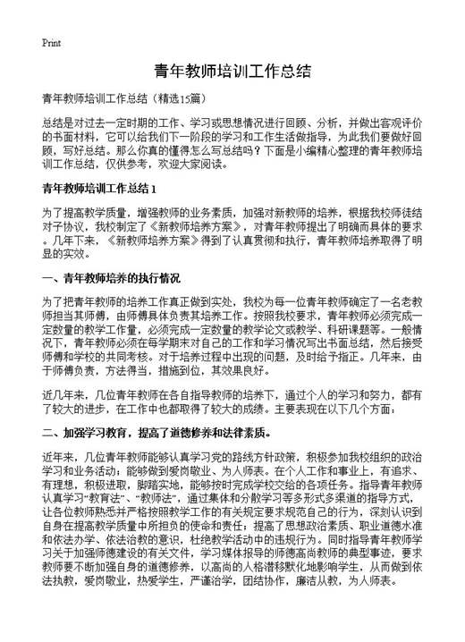 青年教师培训工作总结