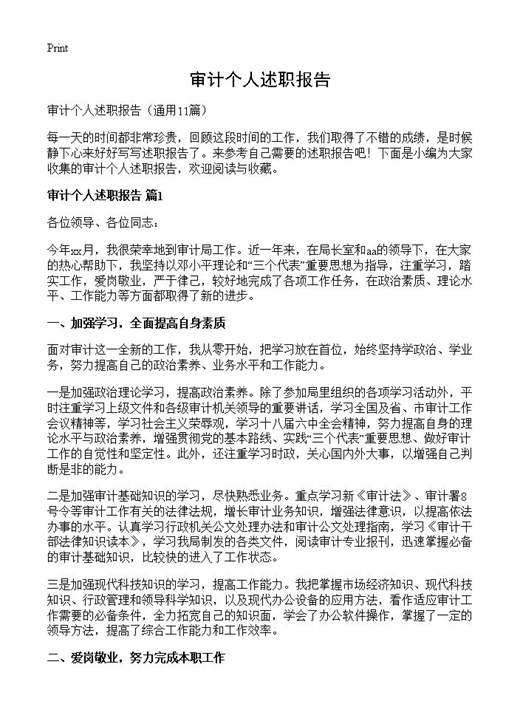 审计个人述职报告