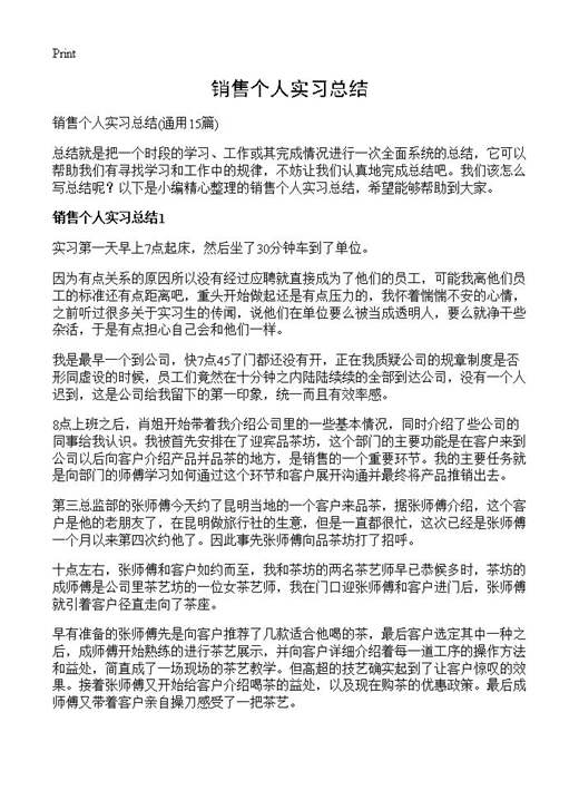销售个人实习总结