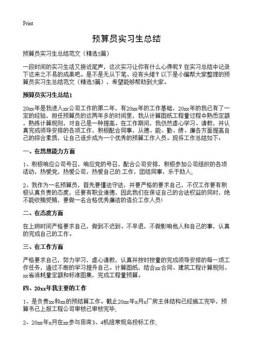 预算员实习生总结