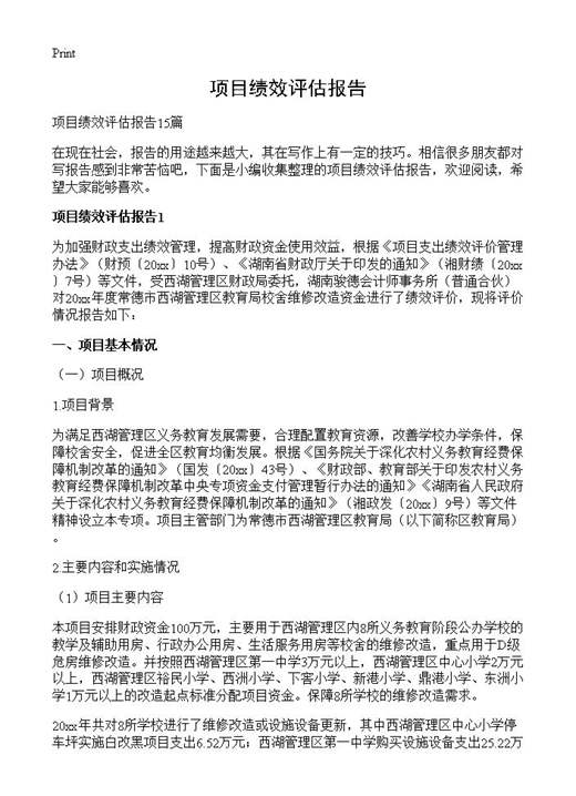 项目绩效评估报告