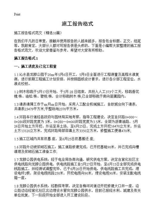 施工报告格式