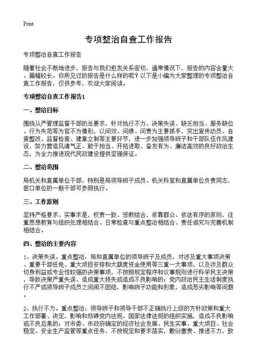专项整治自查工作报告
