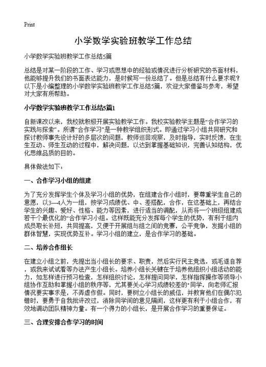 小学数学实验班教学工作总结