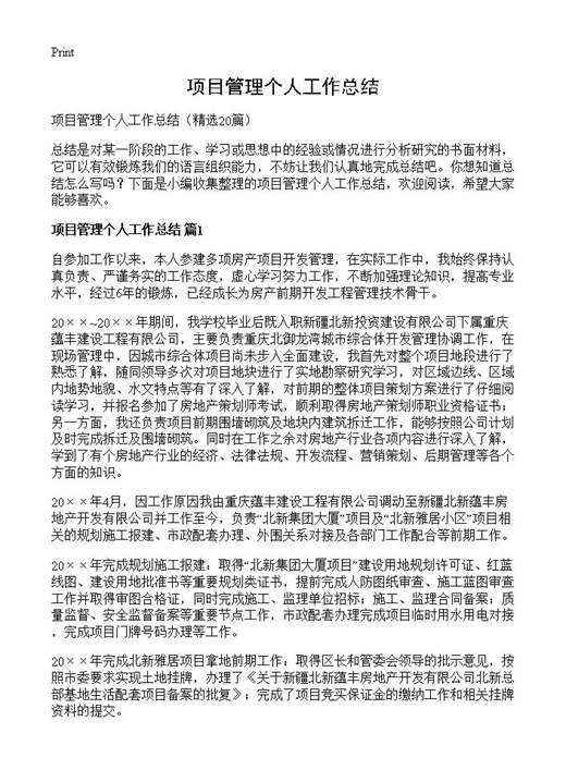 项目管理个人工作总结