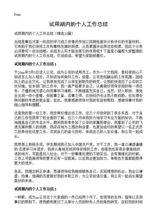 试用期内的个人工作总结