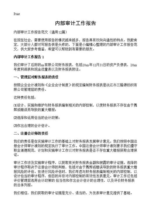 内部审计工作报告