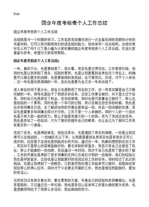 国企年度考核表个人工作总结