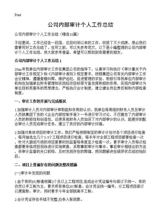 公司内部审计个人工作总结