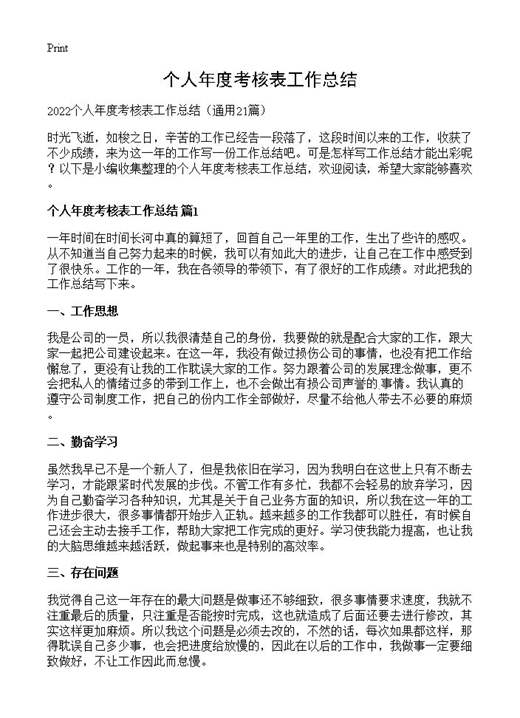 个人年度考核表工作总结
