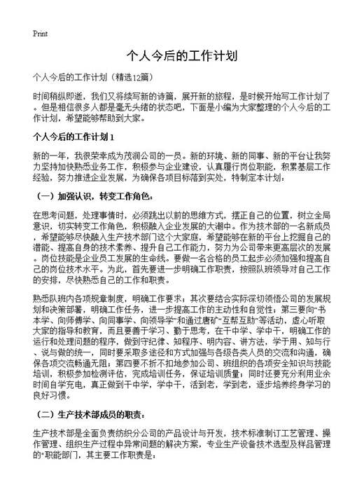 个人今后的工作计划