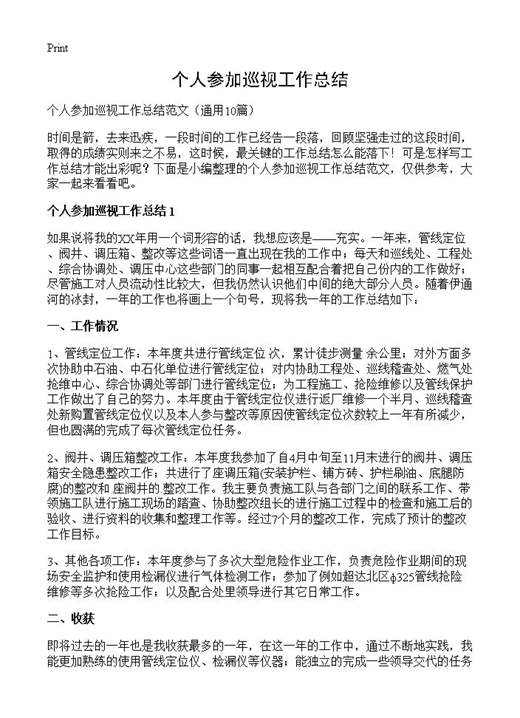 个人参加巡视工作总结