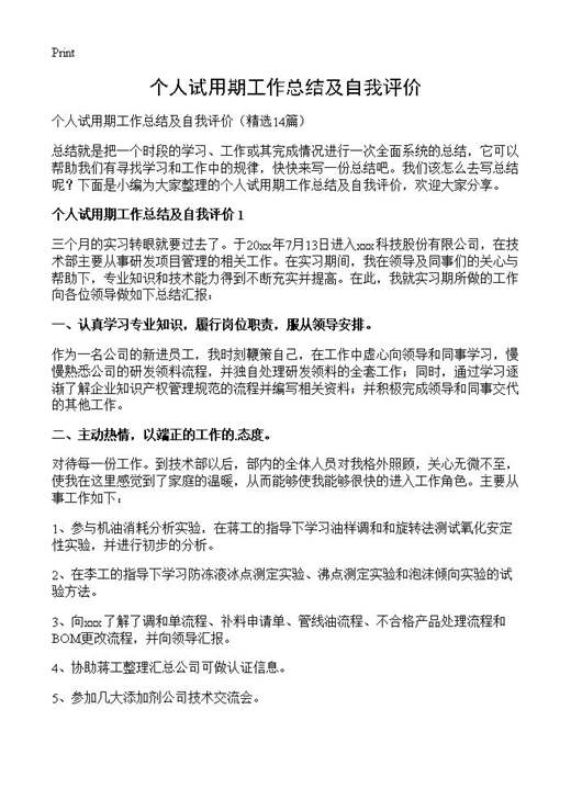 个人试用期工作总结及自我评价