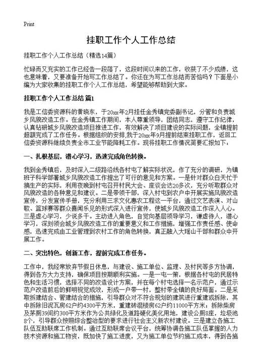 挂职工作个人工作总结