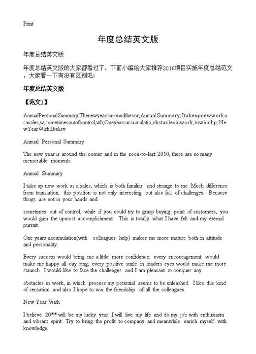 年度总结英文版