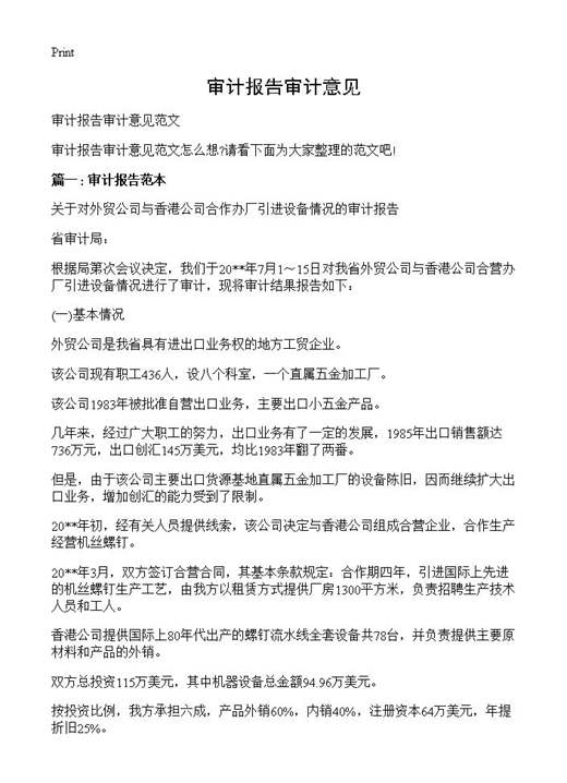 审计报告审计意见