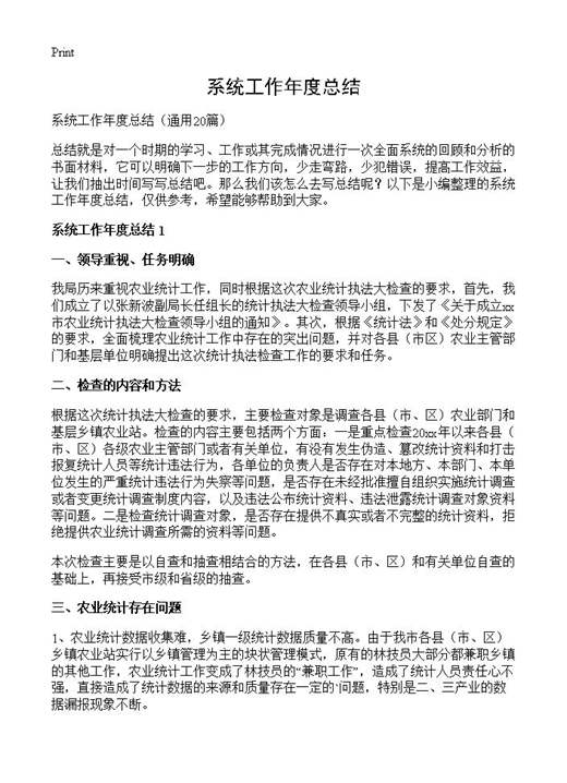 系统工作年度总结