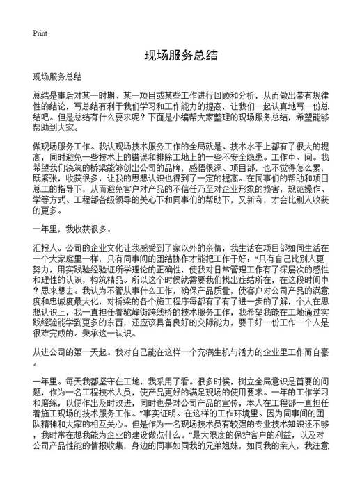 现场服务总结