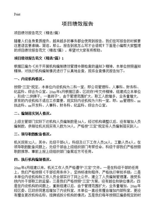 项目绩效报告