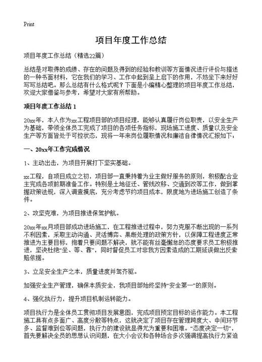 项目年度工作总结