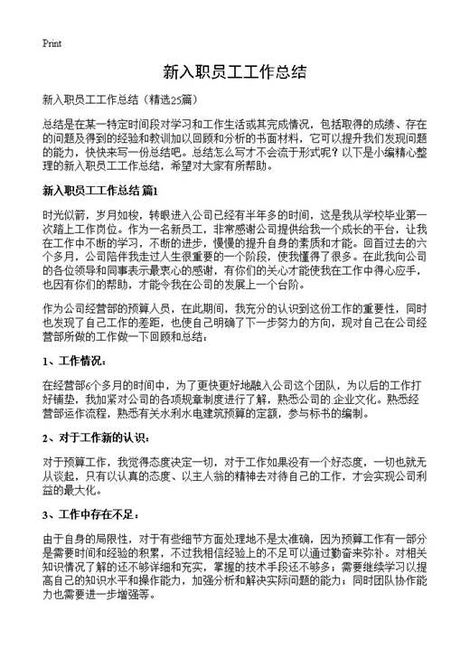 新入职员工工作总结