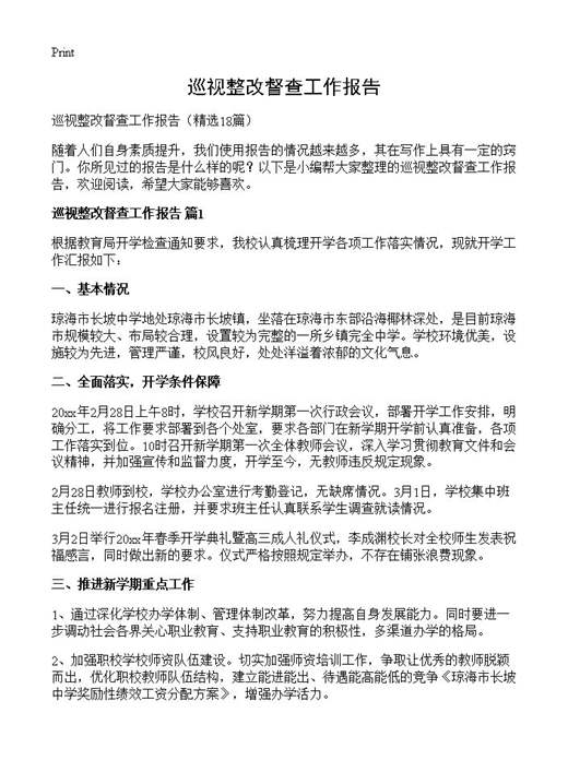 巡视整改督查工作报告