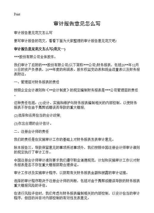 审计报告意见怎么写