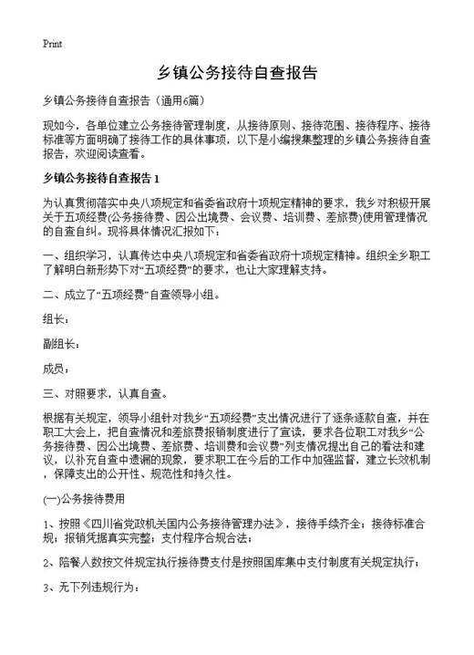 乡镇公务接待自查报告