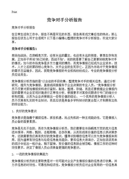 竞争对手分析报告