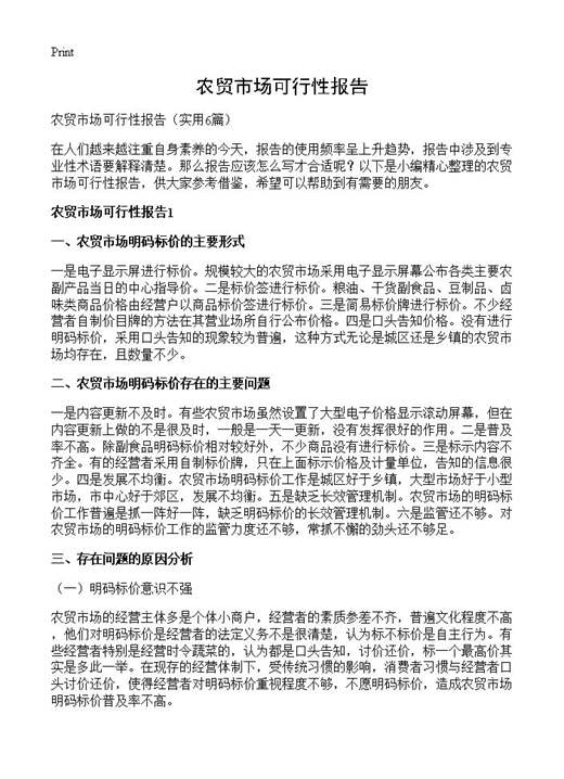 农贸市场可行性报告