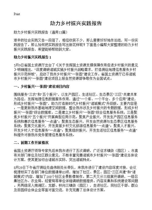 助力乡村振兴实践报告