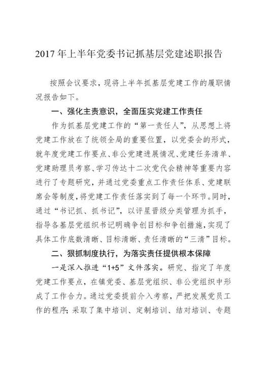 上半年渤海镇党委书记抓基层党建述职报告