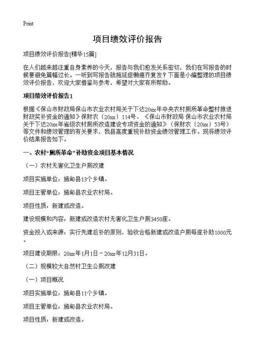 项目绩效评价报告