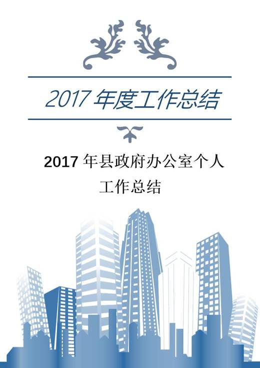 县政府办公室个人工作总结