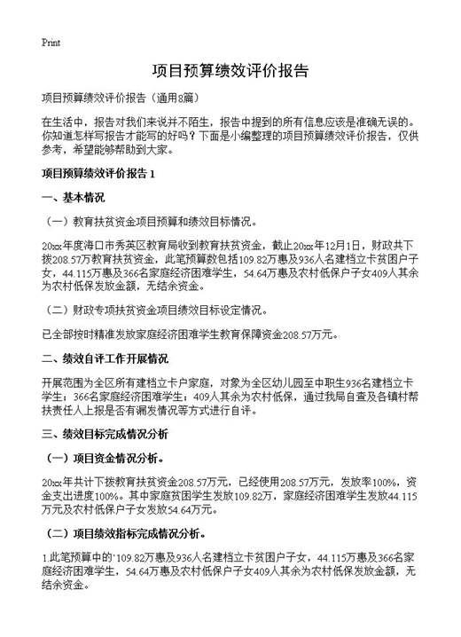 项目预算绩效评价报告