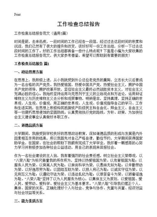 工作检查总结报告