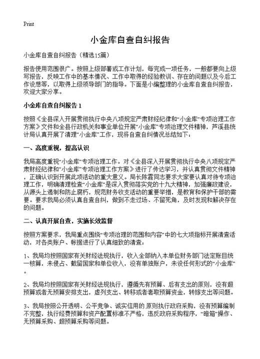 小金库自查自纠报告