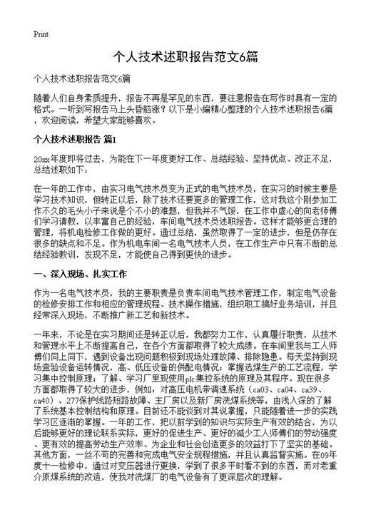 个人技术述职报告范文