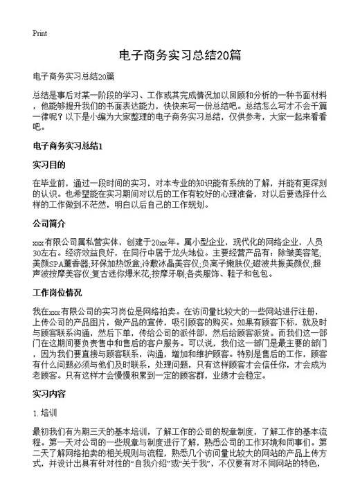 电子商务实习总结