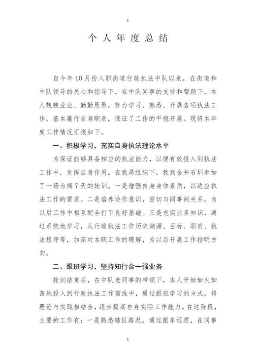 行政执法个人年度总结