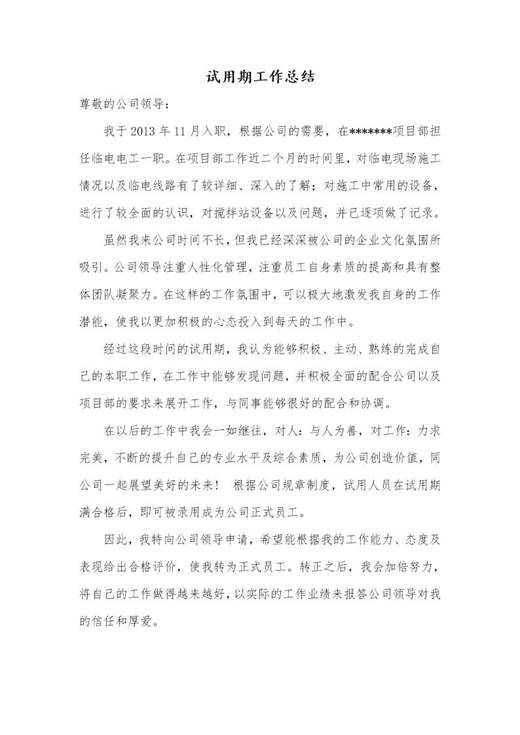 试用期工作总结