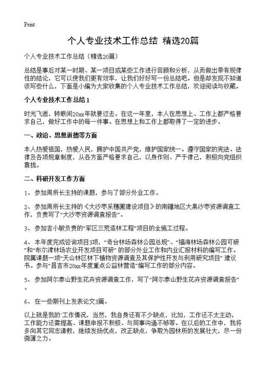 个人专业技术工作总结